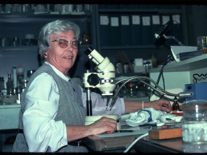 Dr Marian Pettibone in her lab in 1976