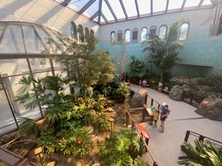 Overhead view of visitors walking the main pathway through the Bird house