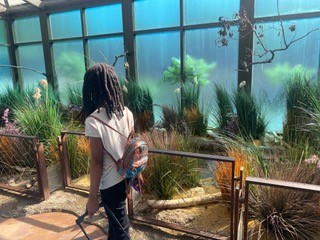 A young girl walks through wetlands display