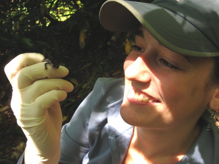 Close up of researcher looking at a salamander in her hand