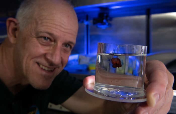 Allen Collins holds a jar containing a baby jellyfish