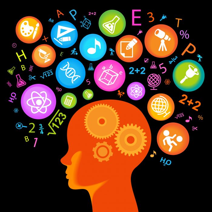 Working toward a smarter Smithsonian: December programming from the Staff Learning Series