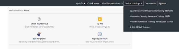 Screenshot from VSys program for volunteers