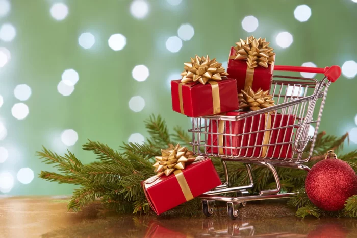 Retail & E-commerce Holiday Sale begins today!