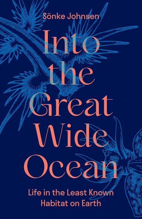 Cover of book Into the Great Wide Ocean: Life in the Least Known Habitat on Earth by Sönke Johnsen