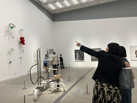 Aviva Rosenthal and curator at the Seoul Museum of Art