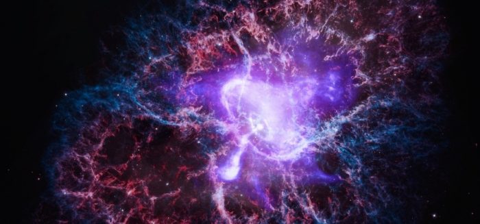 The Smithsonian’s top seven scientific achievements of 2024 