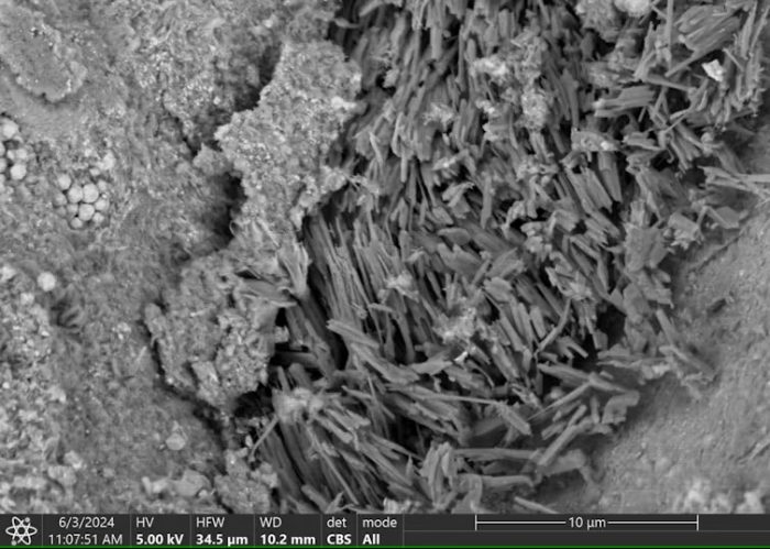 Micro image of sodium carbonate
