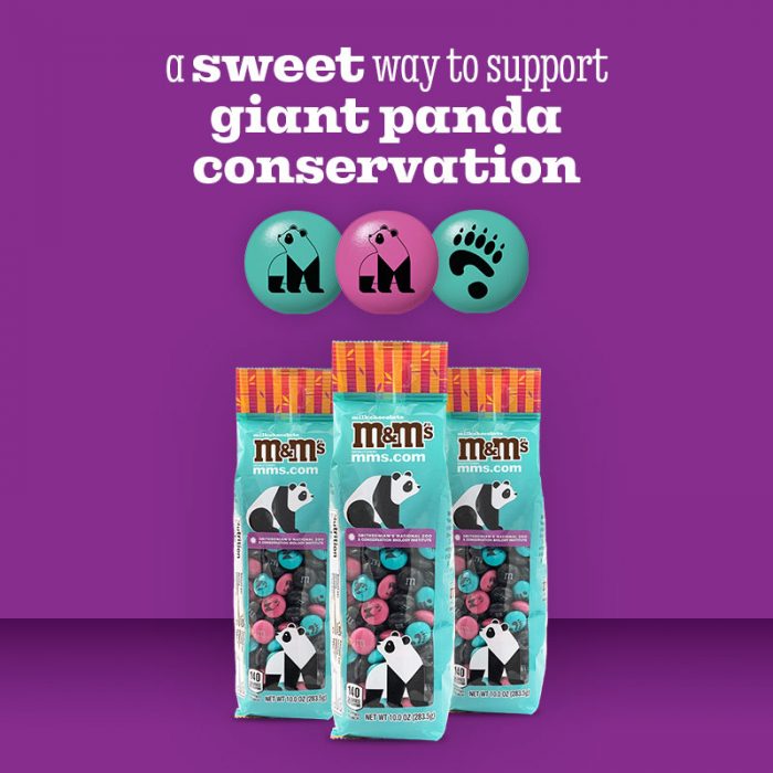 Banner advertising Zoo-sponsored panda-branded M&M candy