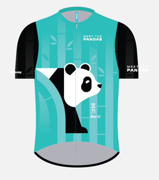 Graphic image of biking shirt showing stylized panda on teal backgtround