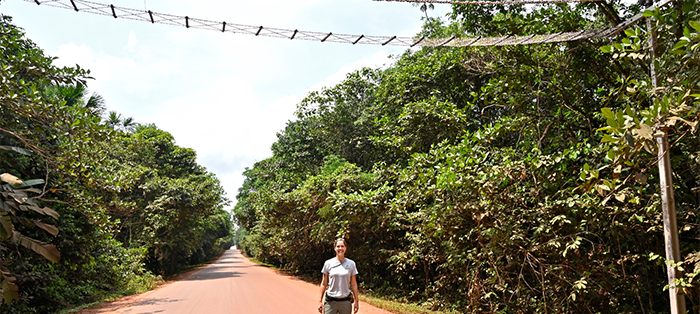 Building Bridges in the Amazon