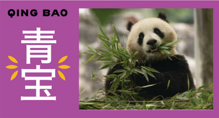 Banner showing photo of Qing Bao with her name in English and Chinese