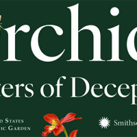 Deceit: A deadly sin or necessary survival adaptation?