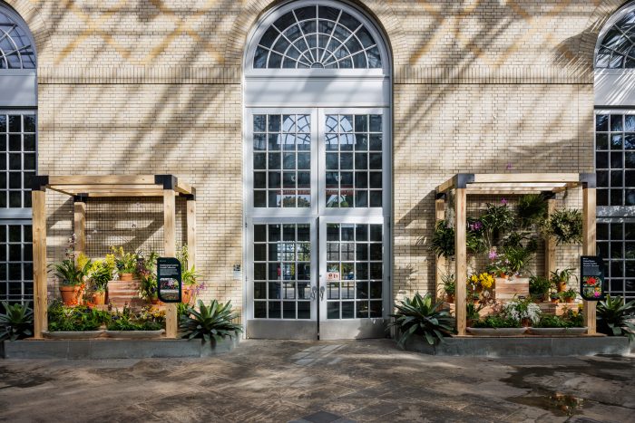 Entrance doors flanked by two pergolas displaying orchids