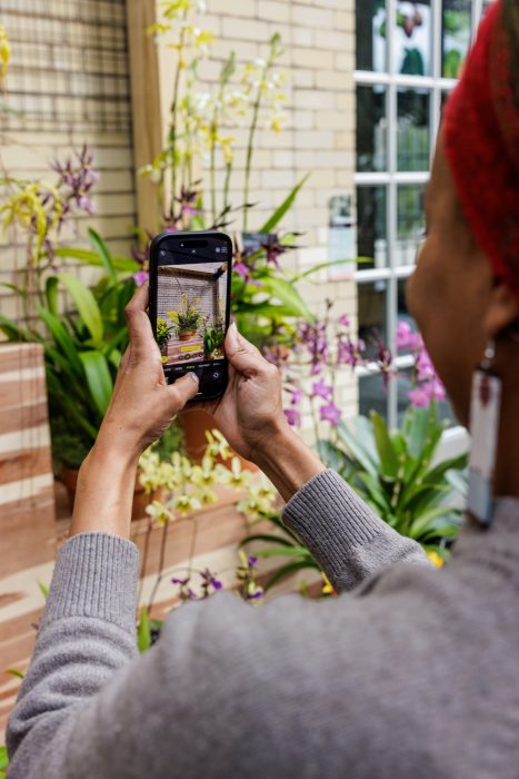 Woman seen from the back as she takes photo of yellow orchids