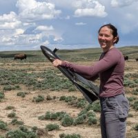 Why I’m Tracking Bison Herds Across the Prairie