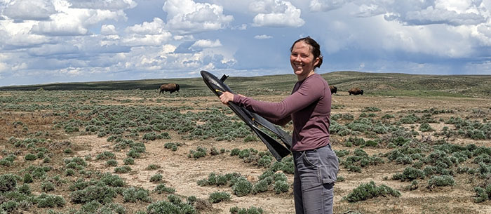Why I’m Tracking Bison Herds Across the Prairie