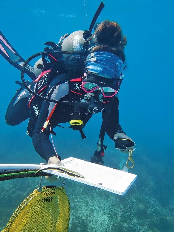 SERC has been safeguarding our coastal systems for 60 years