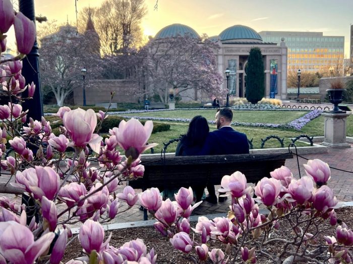 A couple sitting on a bench in the Haupt Garden. Tulip magnolia tree in the foreground, National Museum of African Art in the background