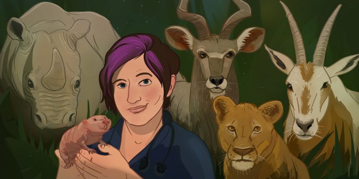 Graphic design for Sidedoor podcast episode 11.17 Zoo's Clues