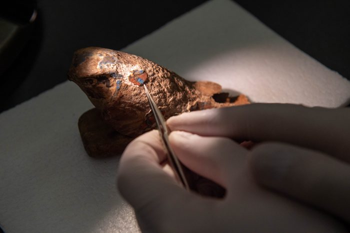 Close-up of researcher using a fine tool to take a tiny sample of pigment from an ancient wooden falcon