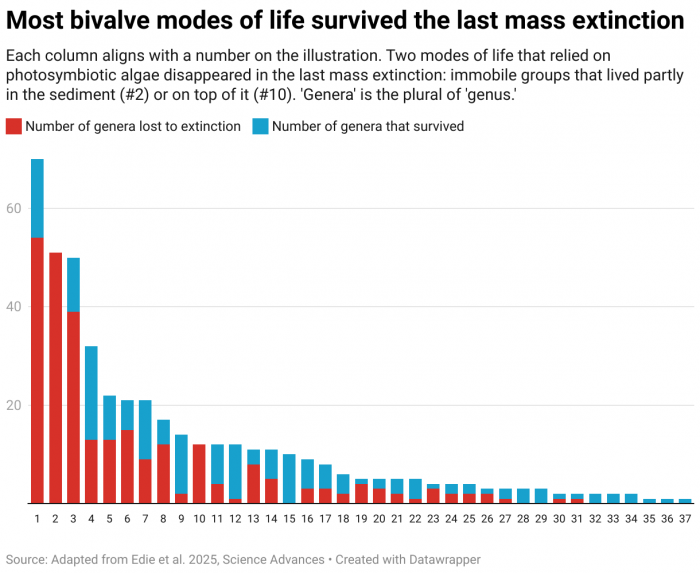 Bar chart showing bivalve species loss